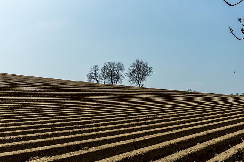 Limburg von Mooie Foto