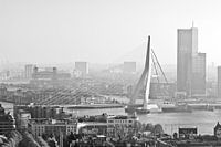 Matinée à Rotterdam