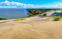 Dunes grises à l'automne