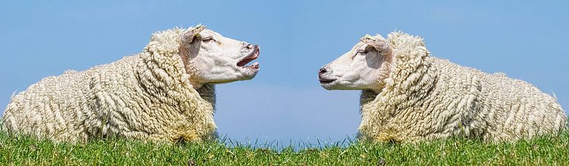 Das Gespräch des Tages von Moonheart Artworks