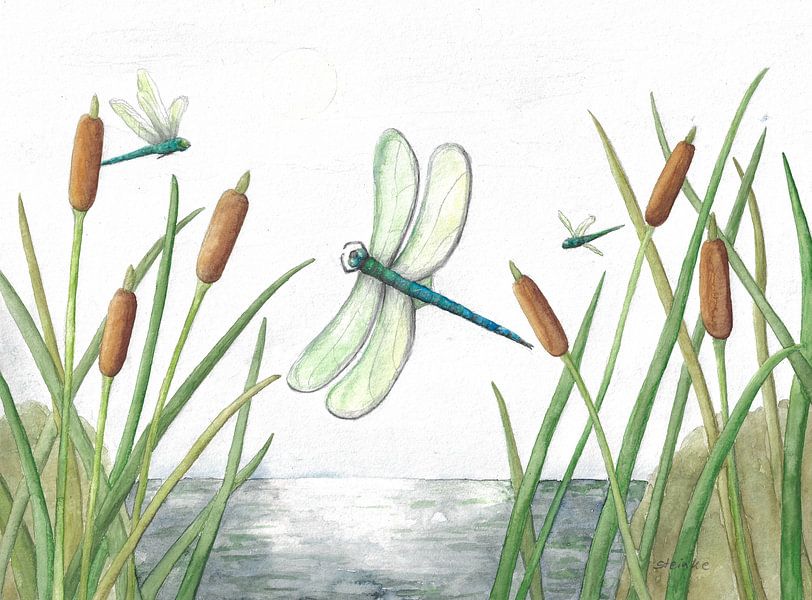 Libellen am See von Sandra Steinke