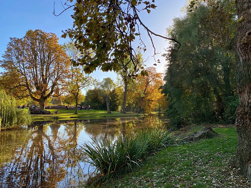 Vondelpark Amsterdam. Herbst 2022. von Marianna Pobedimova