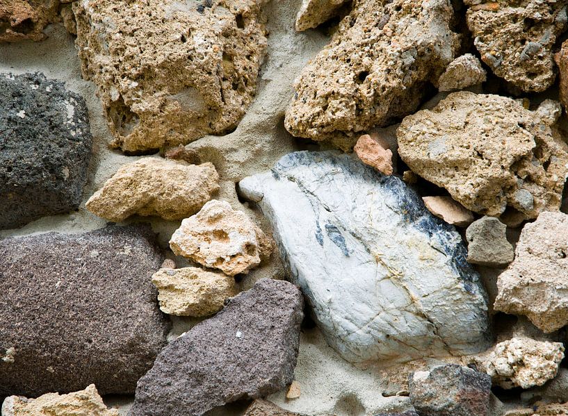 Delphin im Felsen von Erna Kampman