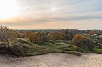 Warm sunlight over dune landscape in autumn