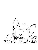French bulldog line art illustration