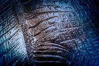 Résumé de Nature #8