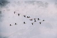 Gänsewanderung Foto in Tapete umgewandelt rellief