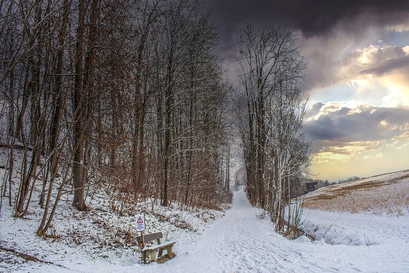 DE - Baden-Württemberg : Winterlandschaft von Photoart-Naegele