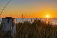 Sonnenuntergang an der Küste von Texel