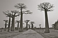 De weg naar het onbekende..