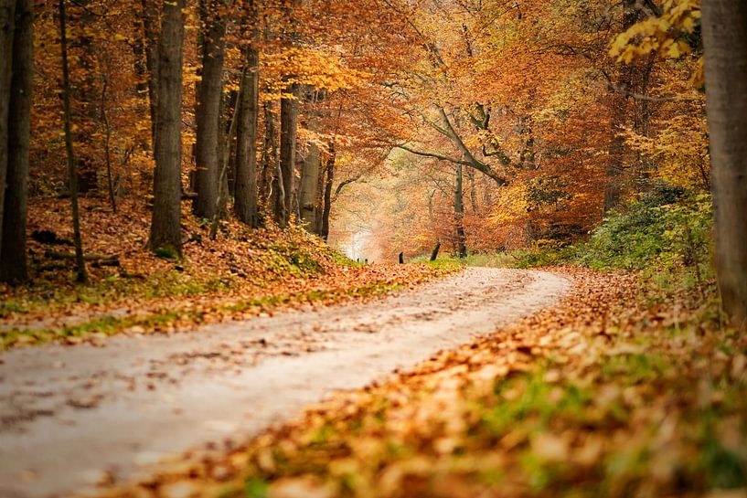 Country road by Mariette Kranenburg