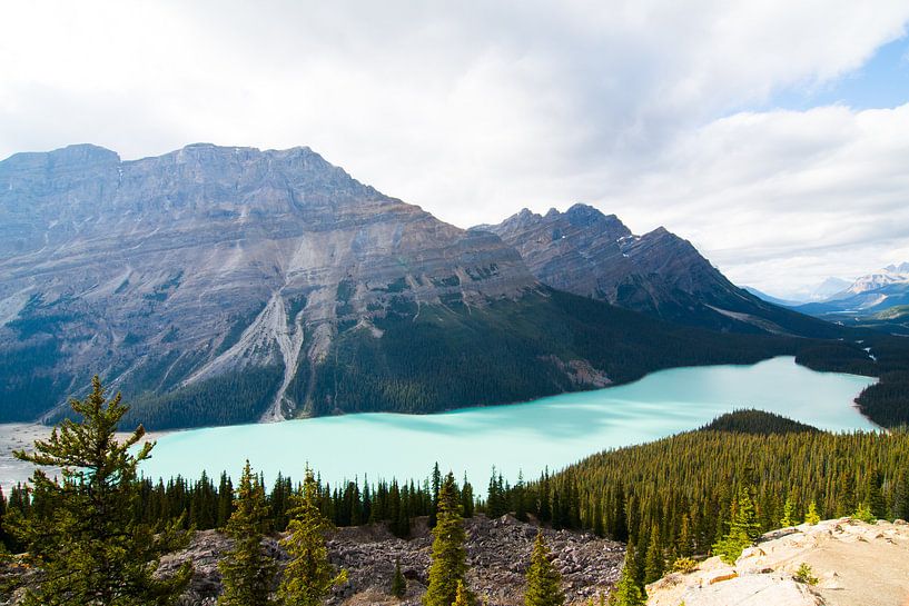 Peyto-See, Banff-Nationalpark von Johan van Venrooy