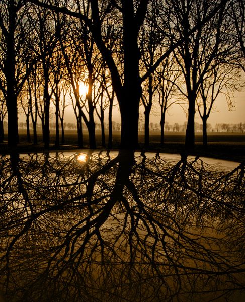 Rooftop by Harrie Muis