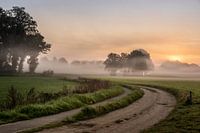 Morgenstimmung in Twente