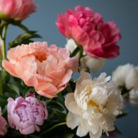 Peonies