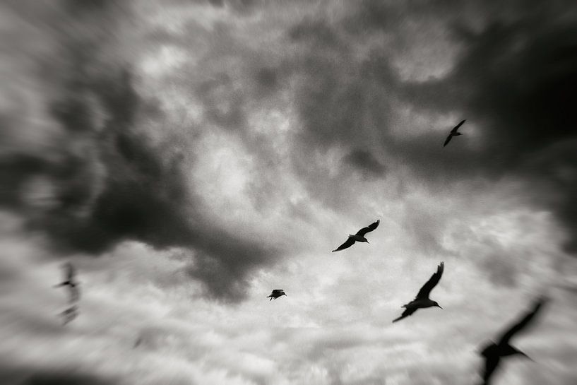 Eiscreme kreischend von Hans Heemsbergen