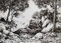 Schwarz-weiße Federzeichnung - Felsen und Bäume