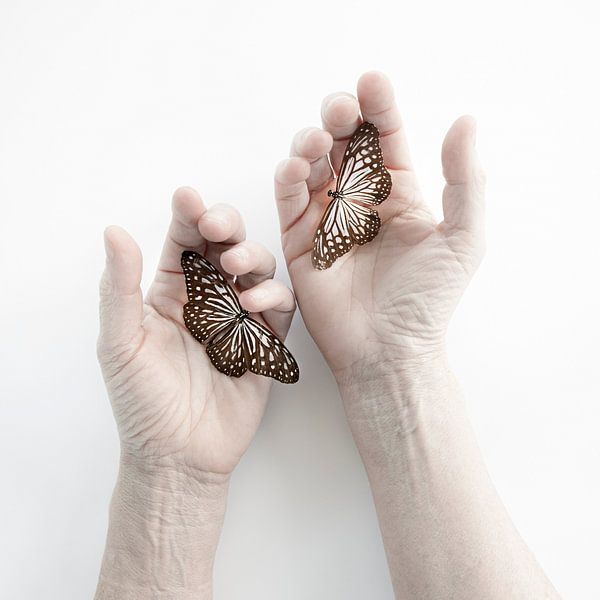 Zärtlichkeit von Diane Cruysberghs