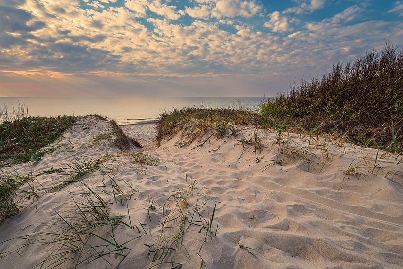 Strand an der Küste der Ostsee bei Graal Müritz von Rico Ködder