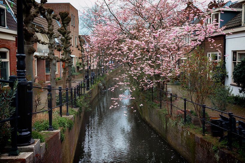 Rustiek Keizersgracht by Jan van der Knaap
