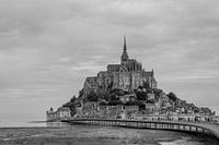Vue magnifique sur le Mont Saint Michel