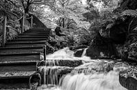 Waterfall in black and white