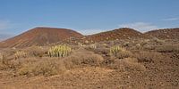 Volcanic Landscape of Malpaís de Rasca, Tenerife