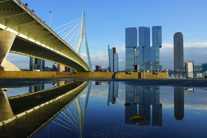 Pont Erasmus à Rotterdam par Michel van Kooten