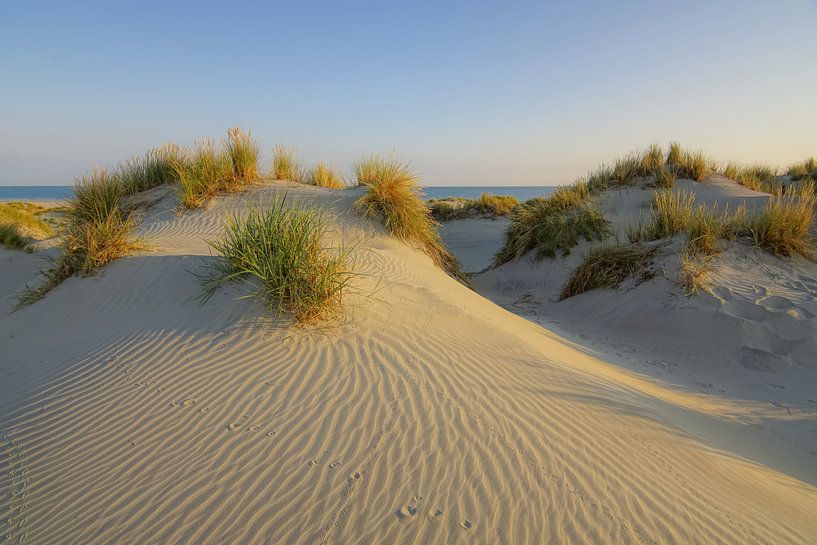 Terschelling - Holland op zijn mooist! van Dirk van Egmond