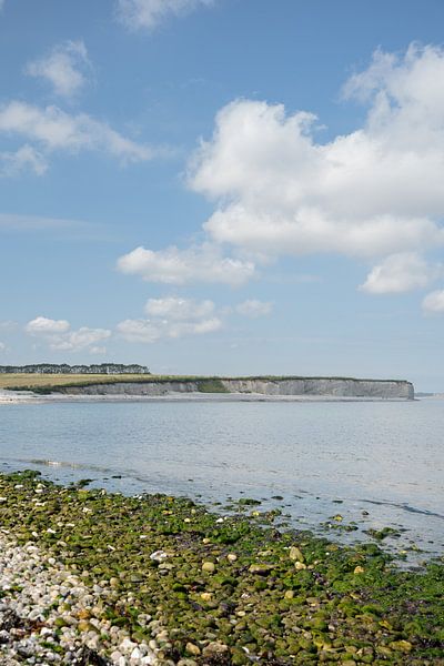 Falaises danoises par Laura Bosch