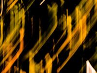 EVEIL DU PRINTEMPS # 49