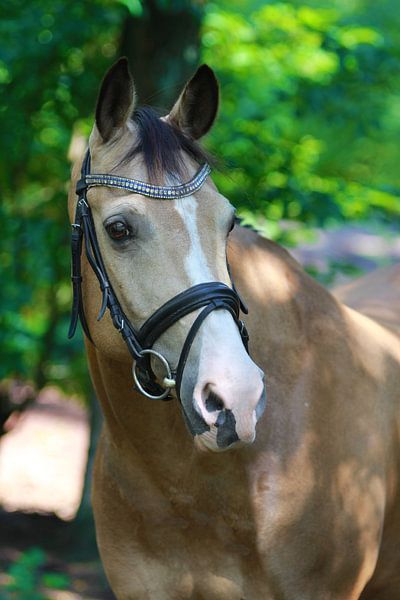 NRPS von Eveline van Beusichem