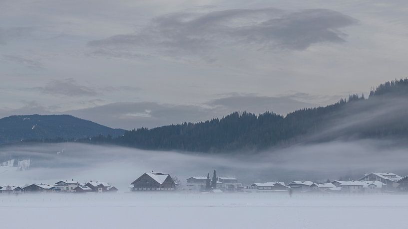 Winter Mystery. by Willemke de Bruin