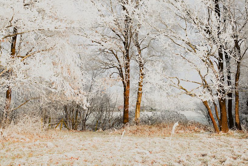 PAYSAGE HIVERNAL HOLLANDAIS par Petra Terpstra