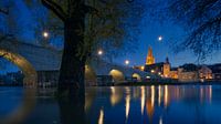 Floodwater in Regensburg Bavaria with Stone Bridge and Cathedral St. Peter at night