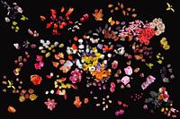 Projet #RGBAvecTulipe2016