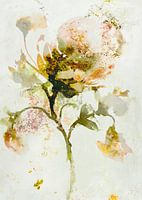 How to become a butterfly