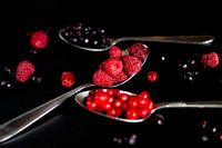 Red fruit still life