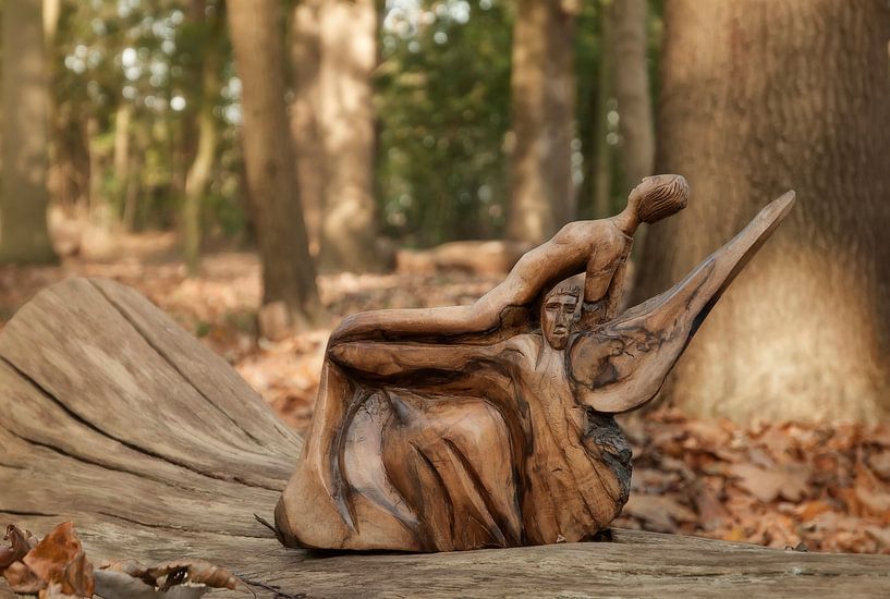 Auf Flügeln getragen von Ellen Driesse