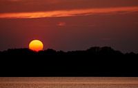 Haarrijnseplas, 6. Mai 2017 #1