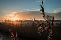 Oudorperhout Alkmaar