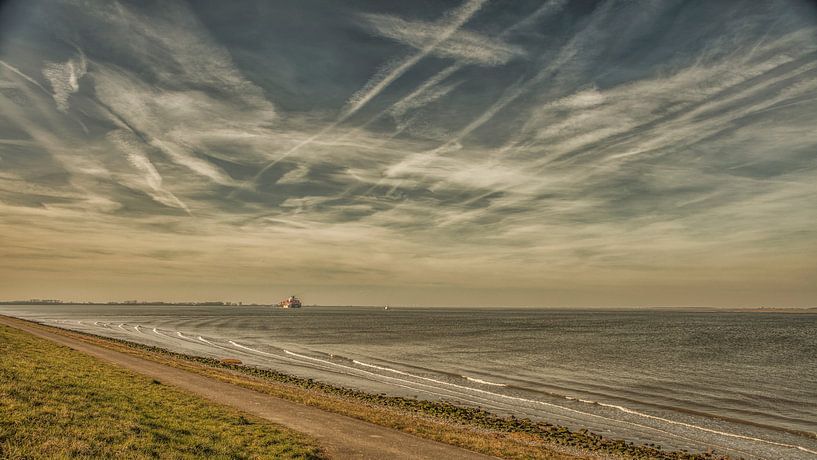 Escaut occidental par anne droogsma