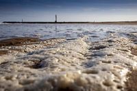 Sea foam on the beach