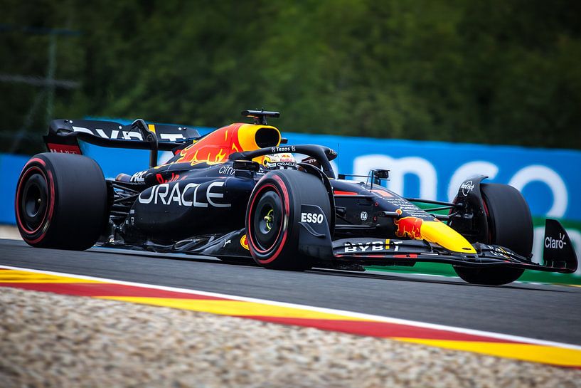 Max beim Großen Preis von Belgien 2022 von Rubin Versigny