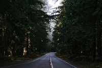 Early morning in Washington State