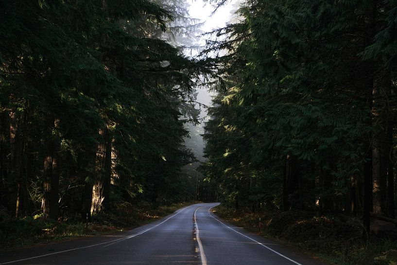 Early morning in Washington State by Yara Dragt