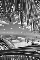 Caribbean Summer en noir et blanc