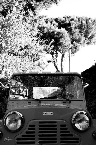 Mini Moke La Madrague Saint-Tropez van Tom Vandenhende