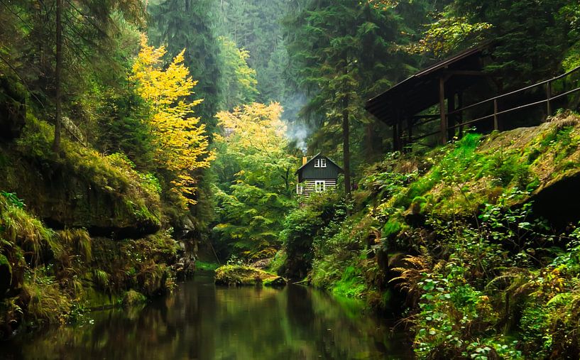 La magie des gorges d'Edmund dans la lumière d'automne par Fototante