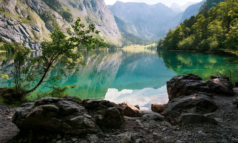 Paysage par Salsa art